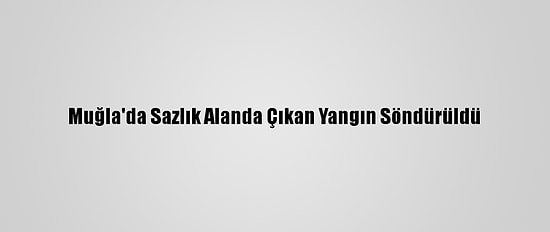 Muğla'da Sazlık Alanda Çıkan Yangın Söndürüldü