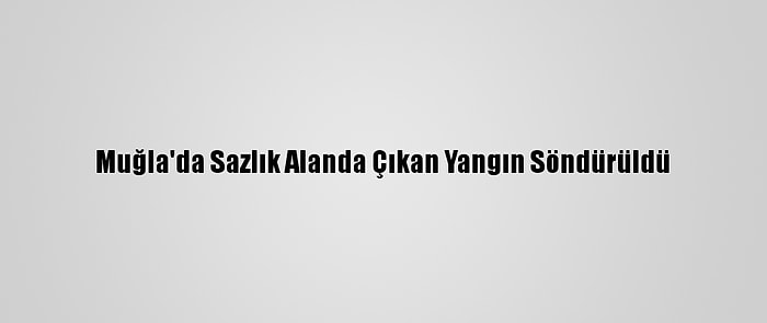 Muğla'da Sazlık Alanda Çıkan Yangın Söndürüldü