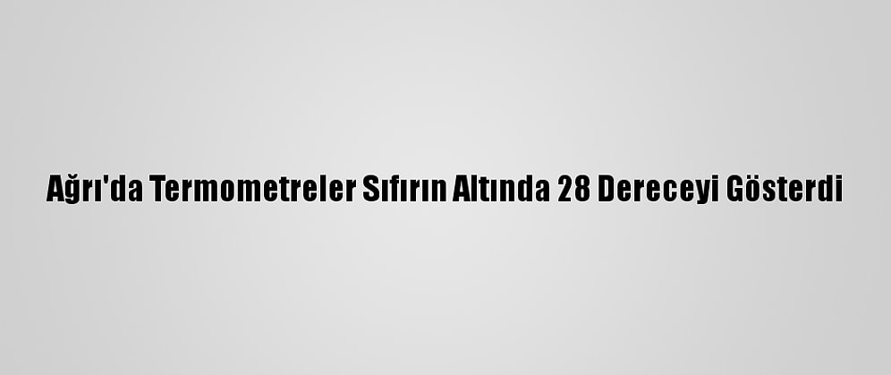 Ağrı'da Termometreler Sıfırın Altında 28 Dereceyi Gösterdi