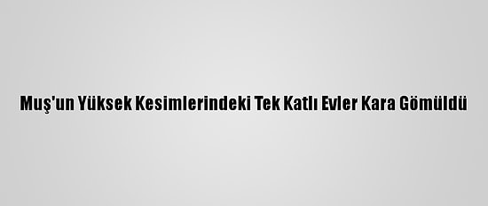 Muş'un Yüksek Kesimlerindeki Tek Katlı Evler Kara Gömüldü