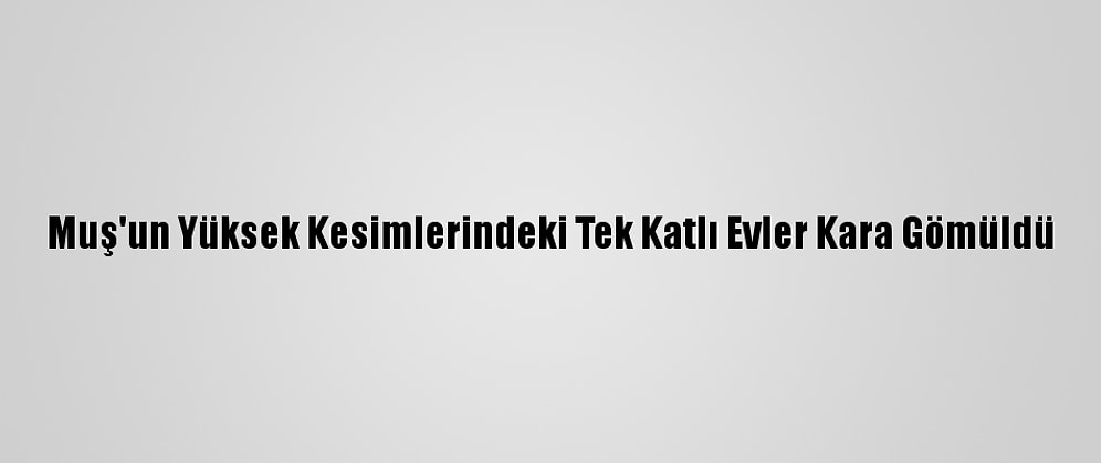 Muş'un Yüksek Kesimlerindeki Tek Katlı Evler Kara Gömüldü