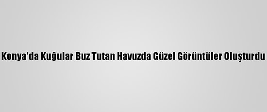 Konya'da Kuğular Buz Tutan Havuzda Güzel Görüntüler Oluşturdu