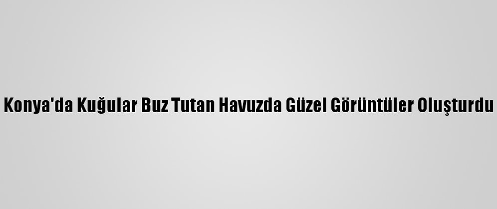 Konya'da Kuğular Buz Tutan Havuzda Güzel Görüntüler Oluşturdu