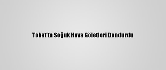 Tokat'ta Soğuk Hava Göletleri Dondurdu