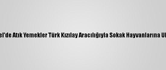 Karamürsel'de Atık Yemekler Türk Kızılay Aracılığıyla Sokak Hayvanlarına Ulaştırılıyor
