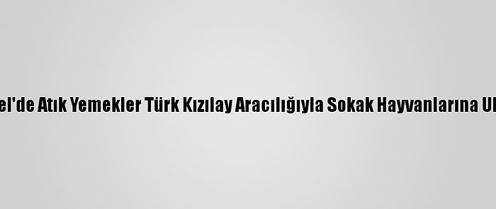 Karamürsel'de Atık Yemekler Türk Kızılay Aracılığıyla Sokak Hayvanlarına Ulaştırılıyor