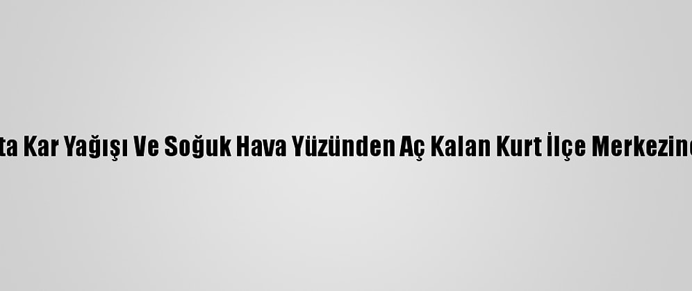 Kars'ta Kar Yağışı Ve Soğuk Hava Yüzünden Aç Kalan Kurt İlçe Merkezine İndi