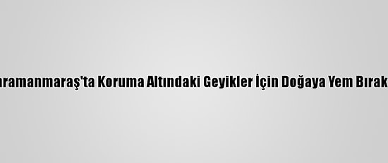 Kahramanmaraş'ta Koruma Altındaki Geyikler İçin Doğaya Yem Bırakıldı