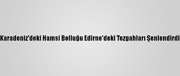 Karadeniz'deki Hamsi Bolluğu Edirne'deki Tezgahları Şenlendirdi