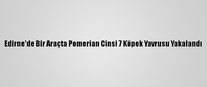 Edirne'de Bir Araçta Pomerian Cinsi 7 Köpek Yavrusu Yakalandı