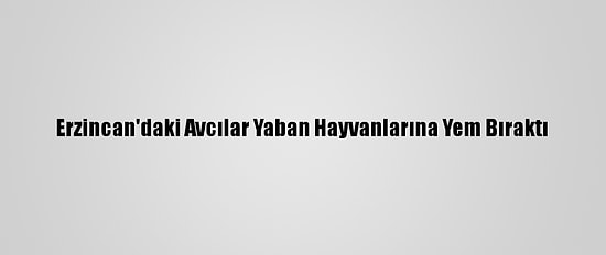 Erzincan'daki Avcılar Yaban Hayvanlarına Yem Bıraktı
