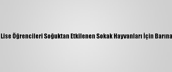 Adana'da Lise Öğrencileri Soğuktan Etkilenen Sokak Hayvanları İçin Barınak Yapıyor