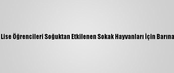 Adana'da Lise Öğrencileri Soğuktan Etkilenen Sokak Hayvanları İçin Barınak Yapıyor