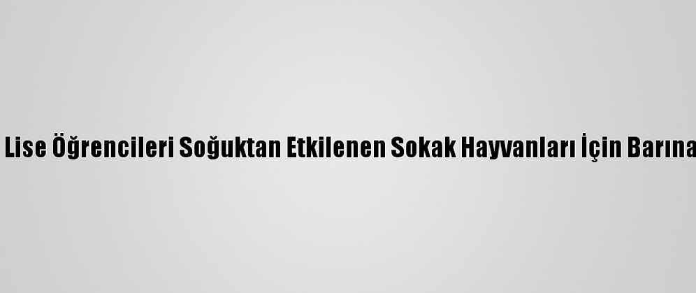 Adana'da Lise Öğrencileri Soğuktan Etkilenen Sokak Hayvanları İçin Barınak Yapıyor