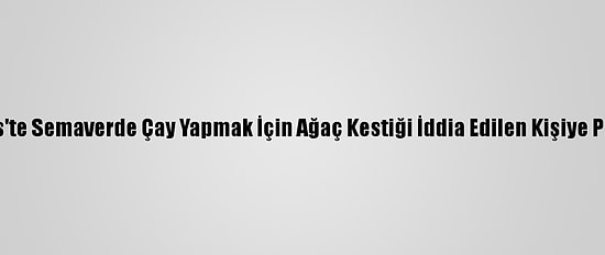 Güncelleme - Kilis'te Semaverde Çay Yapmak İçin Ağaç Kestiği İddia Edilen Kişiye Para Cezası Kesildi