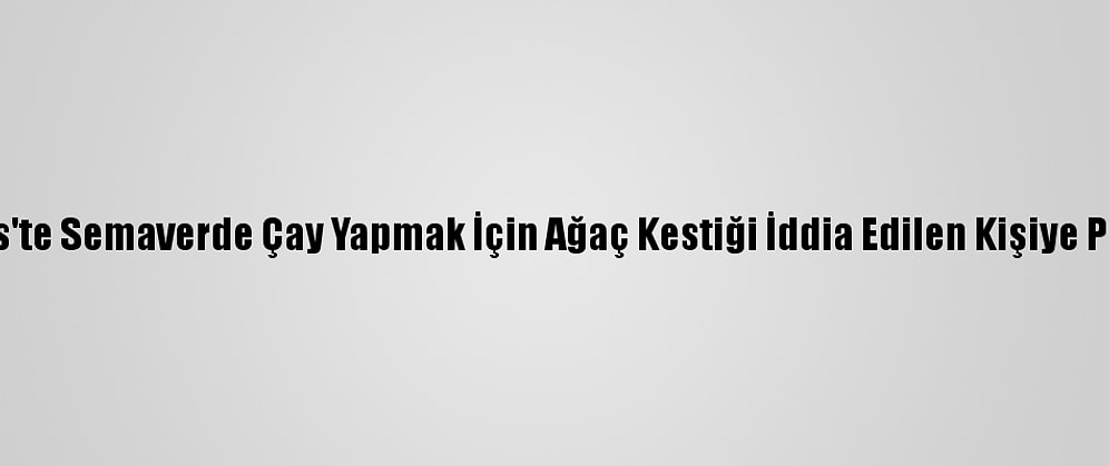 Güncelleme - Kilis'te Semaverde Çay Yapmak İçin Ağaç Kestiği İddia Edilen Kişiye Para Cezası Kesildi