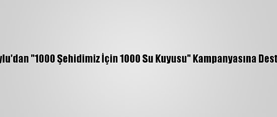 Soylu'dan "1000 Şehidimiz İçin 1000 Su Kuyusu" Kampanyasına Destek: