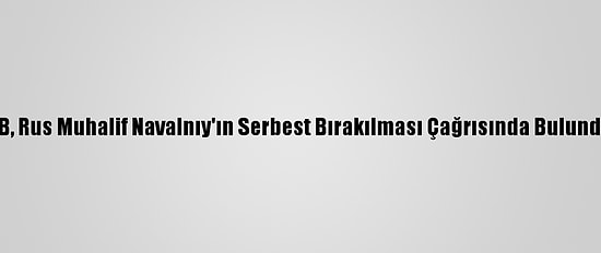 AB, Rus Muhalif Navalnıy'ın Serbest Bırakılması Çağrısında Bulundu