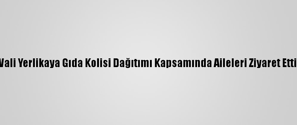 Vali Yerlikaya Gıda Kolisi Dağıtımı Kapsamında Aileleri Ziyaret Etti: