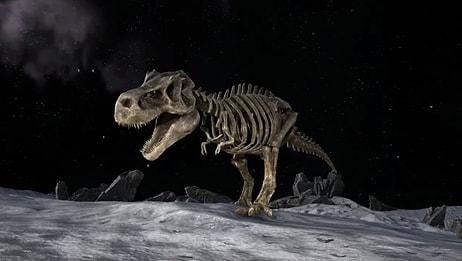 Bilim Muhabirinden İlginç İddia! Dinozorlar Ay'a Nasa'dan Önce Ulaşmış Olabilir