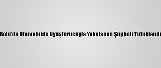 Bolu'da Otomobilde Uyuşturucuyla Yakalanan Şüpheli Tutuklandı