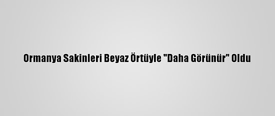 Ormanya Sakinleri Beyaz Örtüyle "Daha Görünür" Oldu