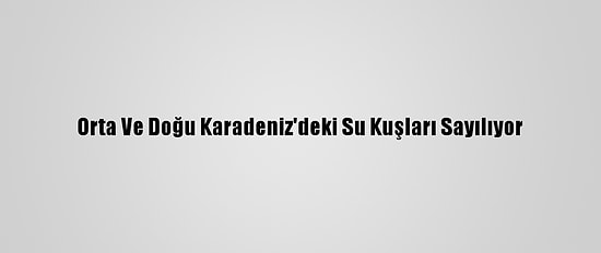 Orta Ve Doğu Karadeniz'deki Su Kuşları Sayılıyor