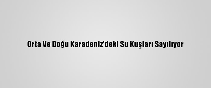 Orta Ve Doğu Karadeniz'deki Su Kuşları Sayılıyor