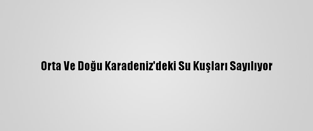 Orta Ve Doğu Karadeniz'deki Su Kuşları Sayılıyor
