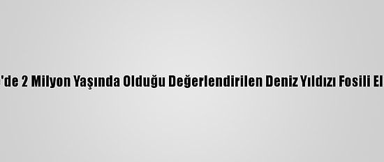 Çanakkale'de 2 Milyon Yaşında Olduğu Değerlendirilen Deniz Yıldızı Fosili Ele Geçirildi