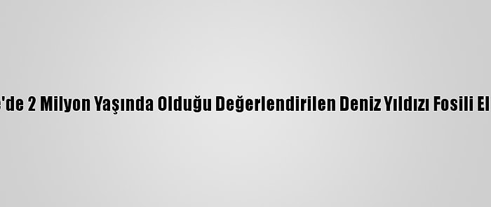 Çanakkale'de 2 Milyon Yaşında Olduğu Değerlendirilen Deniz Yıldızı Fosili Ele Geçirildi