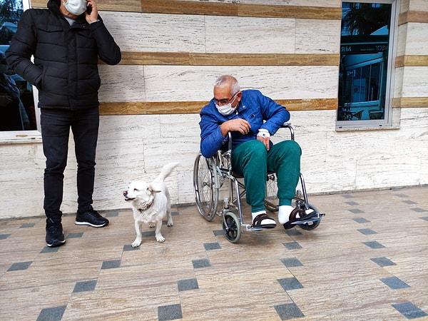 Sağlık durumu iyiye giden Şentürk’ün, tekerlekli sandalyeyle aşağı inip, bekleyişini sürdüren ve hastane çalışanlarınca beslenen Boncuk'la buluşması, duygusal anlara sahne oldu. Cemal Şentürk, 6'ncı günde tedavisinin ardından taburcu olup evine döndü.