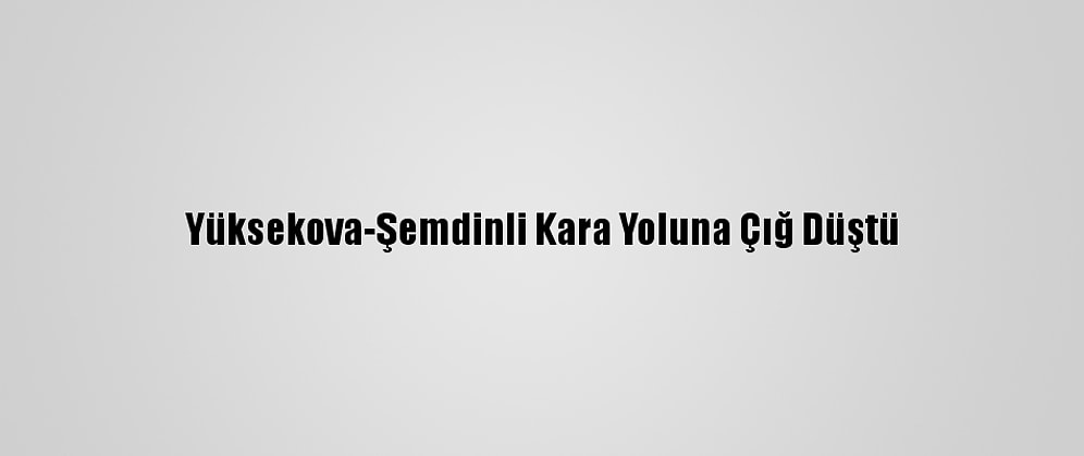 Yüksekova-Şemdinli Kara Yoluna Çığ Düştü