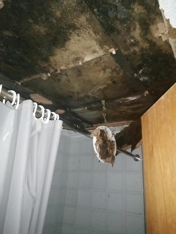3. "İnsanın banyo tavanı düşer mi? Benim düştü, altından da küflenmiş bi tavan çıktı."