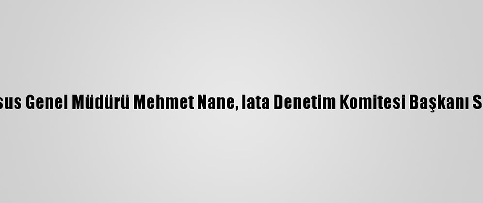 Pegasus Genel Müdürü Mehmet Nane, Iata Denetim Komitesi Başkanı Seçildi