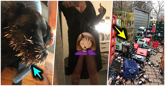 Çöle Düşse Kutup Ayılarıyla Karşılaşıp Birtakım Tatsız Olaylar Yaşayabilecek 17 Bahtsız Kişi