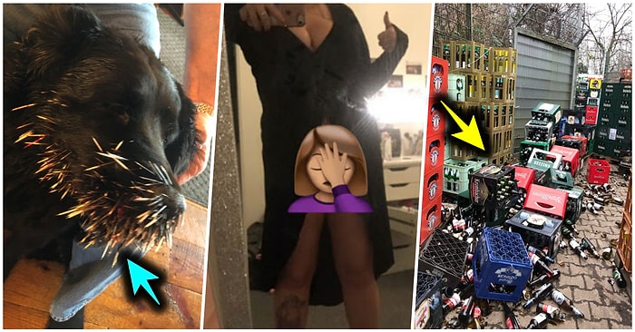 Çöle Düşse Kutup Ayılarıyla Karşılaşıp Birtakım Tatsız Olaylar Yaşayabilecek 17 Bahtsız Kişi