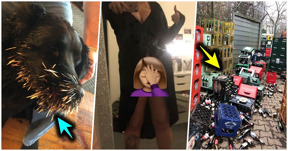 Çöle Düşse Kutup Ayılarıyla Karşılaşıp Birtakım Tatsız Olaylar Yaşayabilecek 17 Bahtsız Kişi