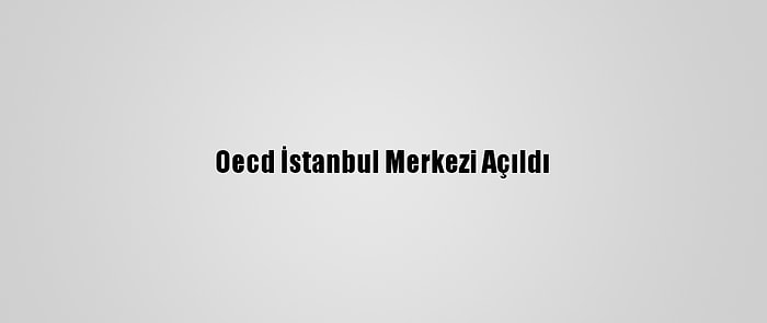 Oecd İstanbul Merkezi Açıldı