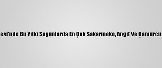 Göller Yöresi'nde Bu Yılki Sayımlarda En Çok Sakarmeke, Angıt Ve Çamurcun Görüldü