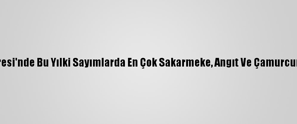 Göller Yöresi'nde Bu Yılki Sayımlarda En Çok Sakarmeke, Angıt Ve Çamurcun Görüldü