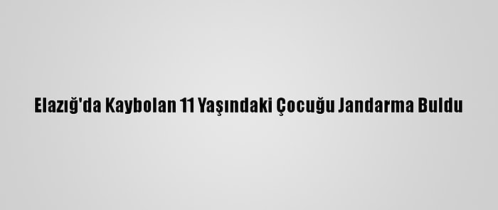 Elazığ'da Kaybolan 11 Yaşındaki Çocuğu Jandarma Buldu