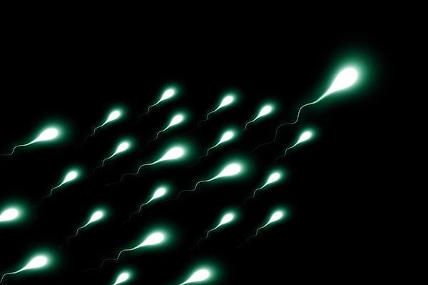 Sperm kalitesini ve sayısını artıran besinler
