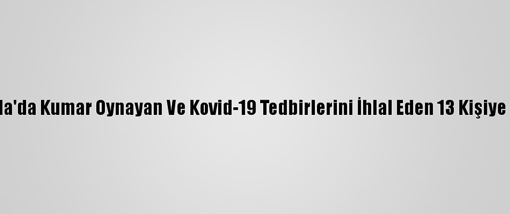 Muğla'da Kumar Oynayan Ve Kovid-19 Tedbirlerini İhlal Eden 13 Kişiye Ceza