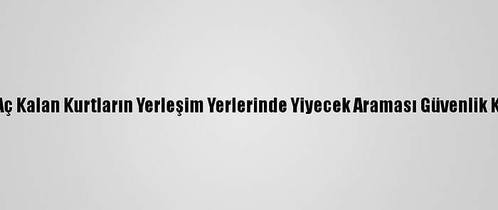 Erzincan'da Aç Kalan Kurtların Yerleşim Yerlerinde Yiyecek Araması Güvenlik Kamerasında