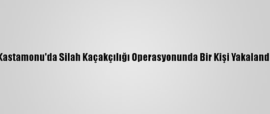 Kastamonu'da Silah Kaçakçılığı Operasyonunda Bir Kişi Yakalandı