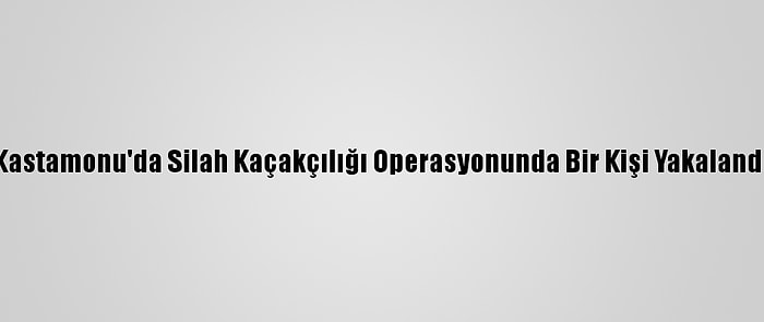 Kastamonu'da Silah Kaçakçılığı Operasyonunda Bir Kişi Yakalandı