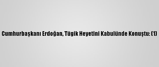 Cumhurbaşkanı Erdoğan, Tügik Heyetini Kabulünde Konuştu: (1)
