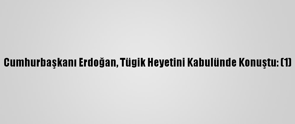 Cumhurbaşkanı Erdoğan, Tügik Heyetini Kabulünde Konuştu: (1)