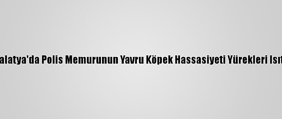Malatya'da Polis Memurunun Yavru Köpek Hassasiyeti Yürekleri Isıttı